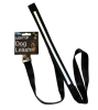Light Up Dog Walking Leash Great For Night Walks Improves Safety