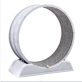 Cat Running Wheel