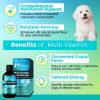 High Quality Multi Vitamin Supplement for Dogs Daily Health Support and Immune Boost