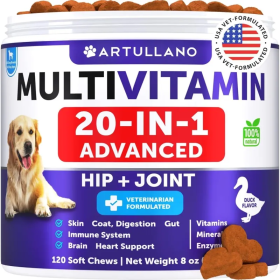 Dog Multivitamin Chewable With Glucosamine 20 In 1 Dog Vitamins And Supplements Senior & Puppy Multivitamin For Dogs Pet Joint Support Health Imm (Option: Artullano)